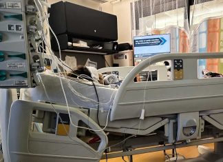 URGENT: 4‑Year‑Old Camila Romero Is Fighting for Her Life